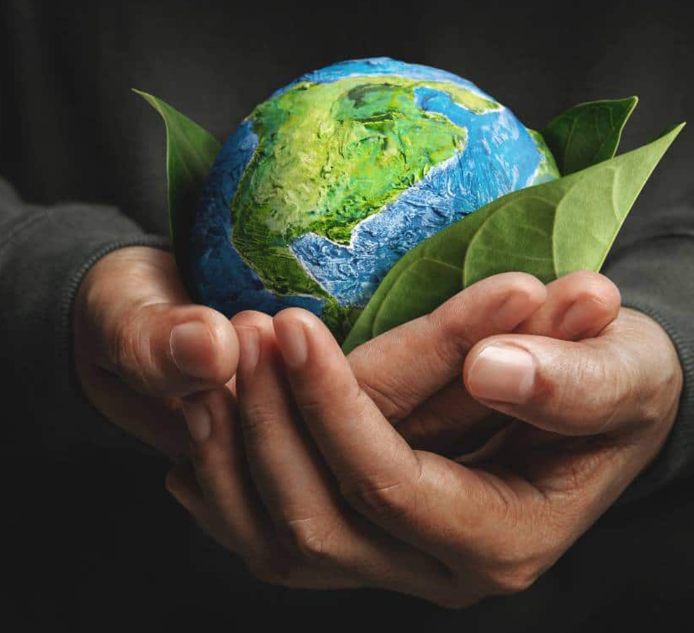 Fabricação de máquinas Jiaxing Dingshi Co., Ltd.